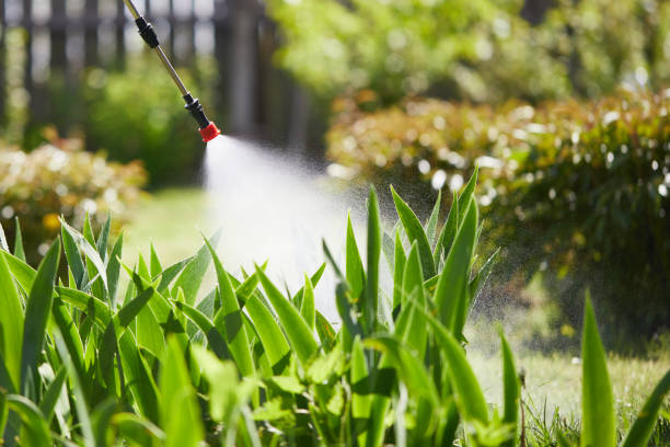 24/7 Emergency Wasp Removal experts in Glendale Heights, IL